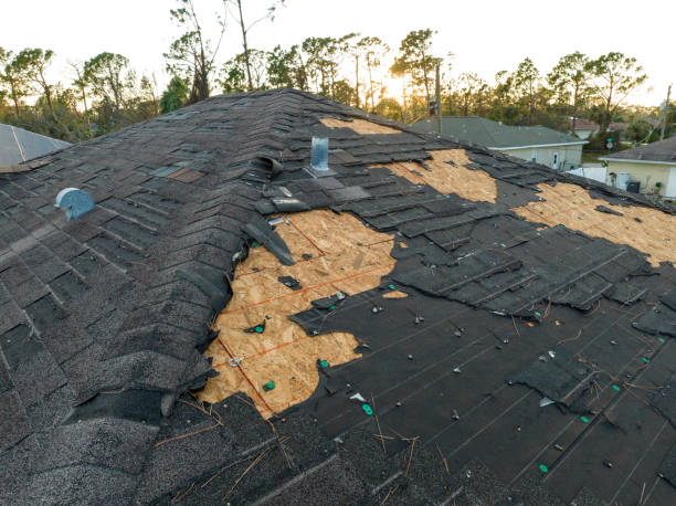 Best Emergency Roof Repair Services  in Vandergrift, PA